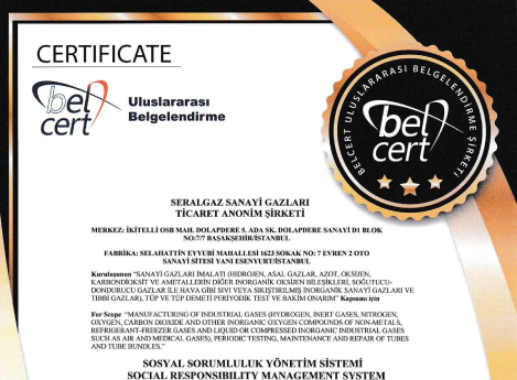 Galeri Resmi